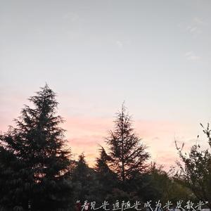 范冰冰被黑人玩到白浆
